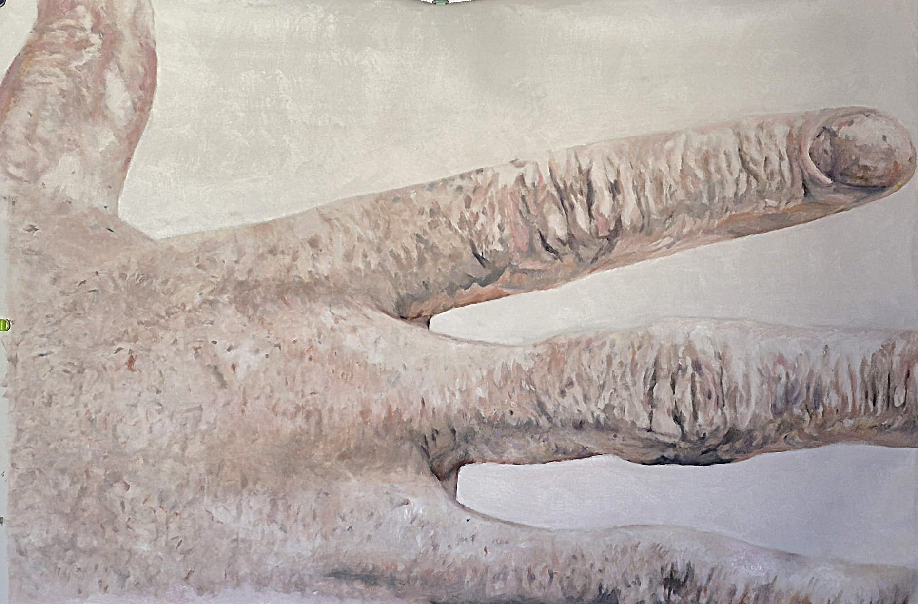 Hey - Oil on canvas macro study of human form and skin texture as landscape